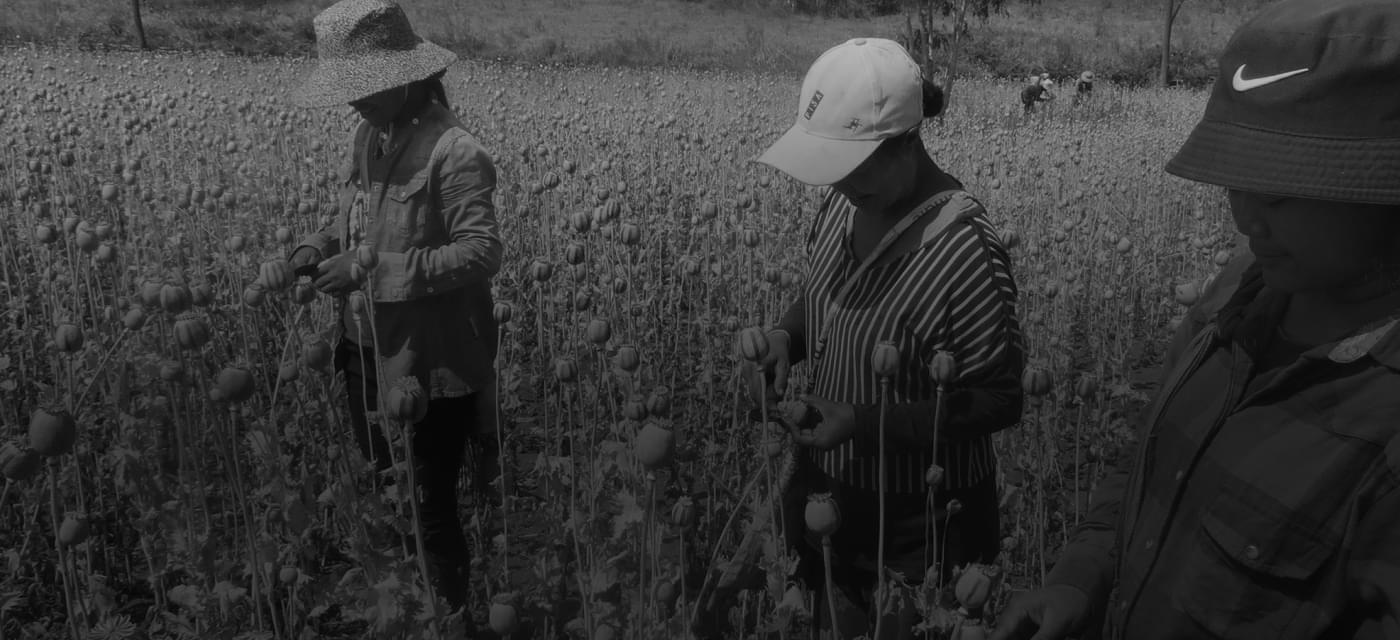 Farmers in the field